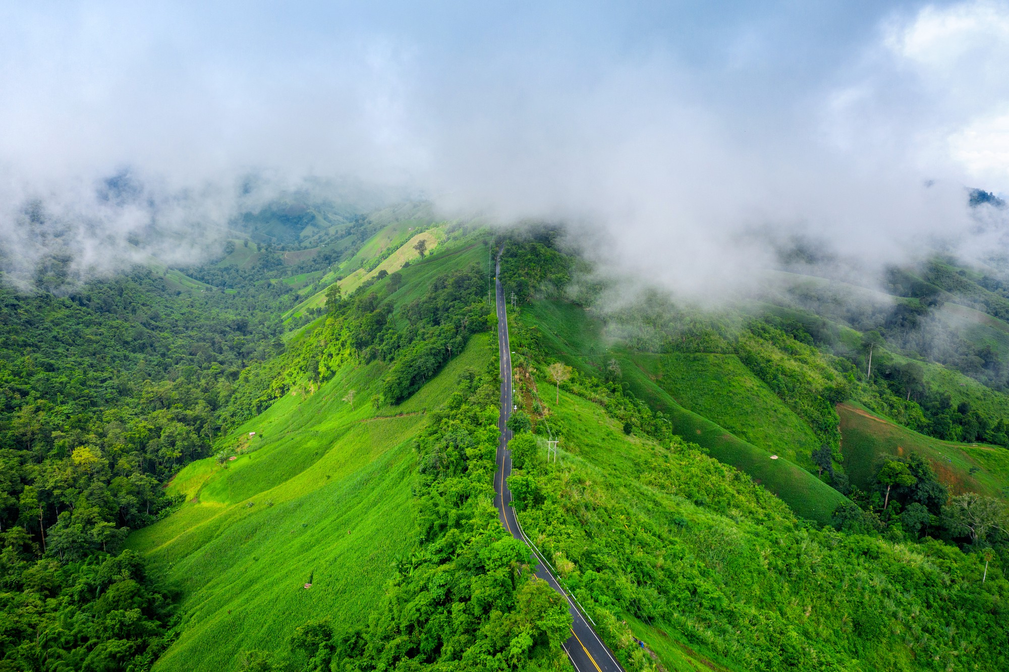 Misty green mountain scenery in Munnar