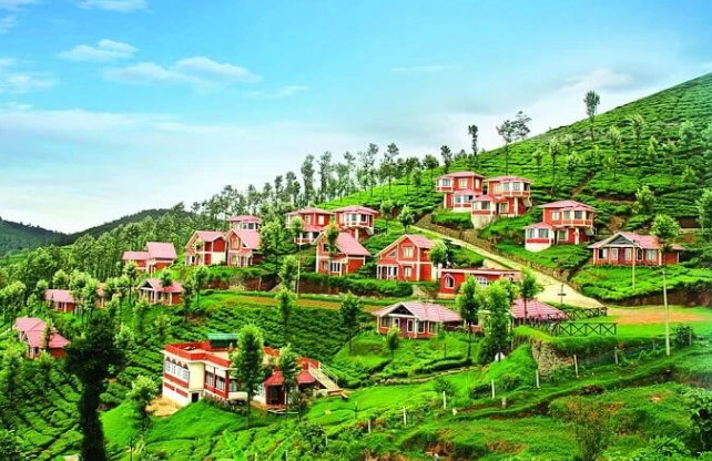 Ooty Tour Packages